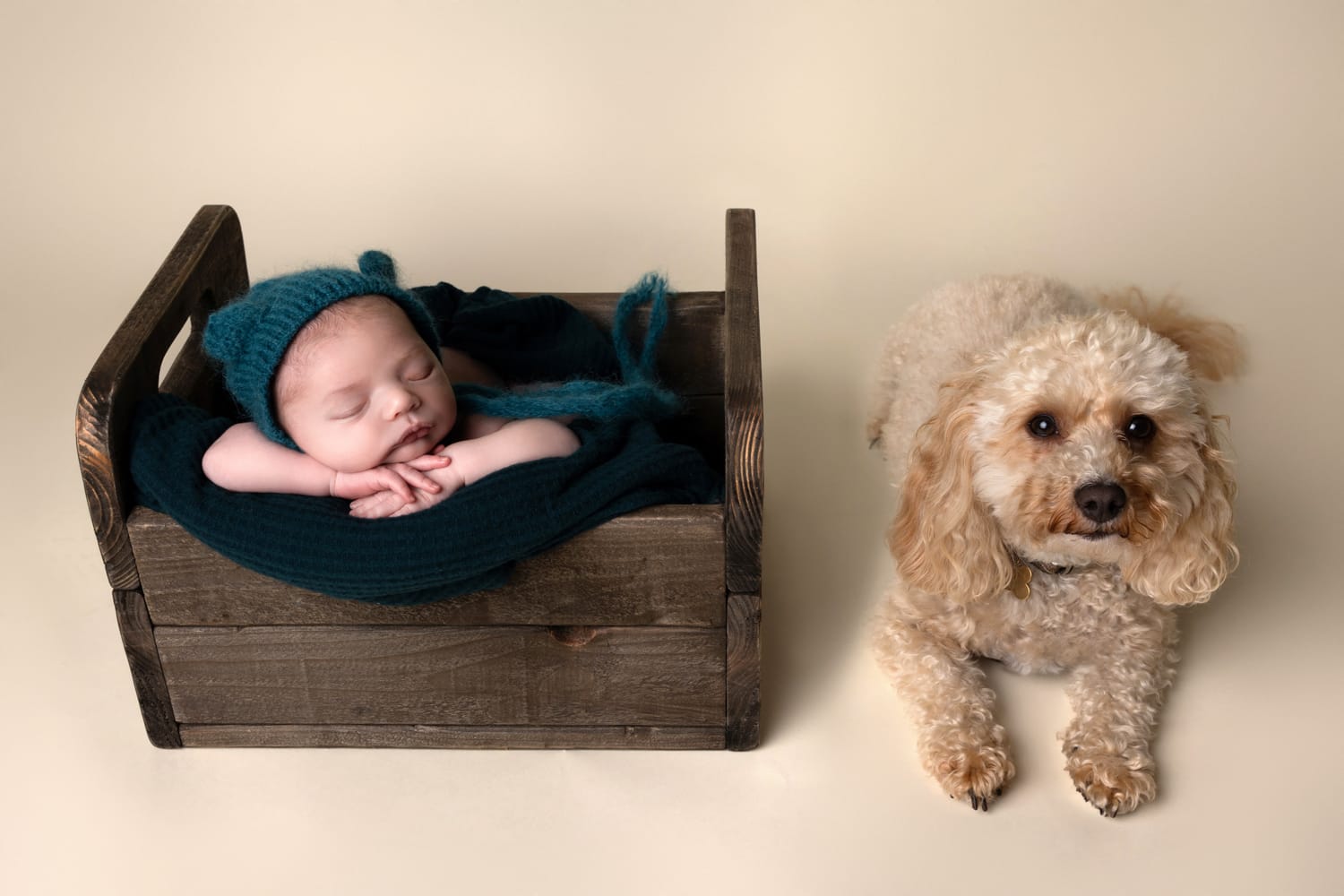 Leeds Newborn Photographer